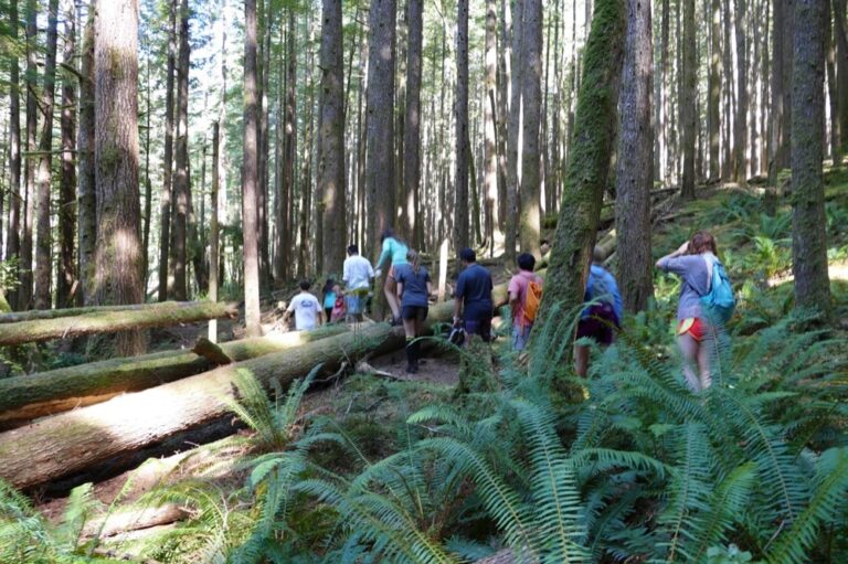 Quadra Island Hiking Trails - kayak