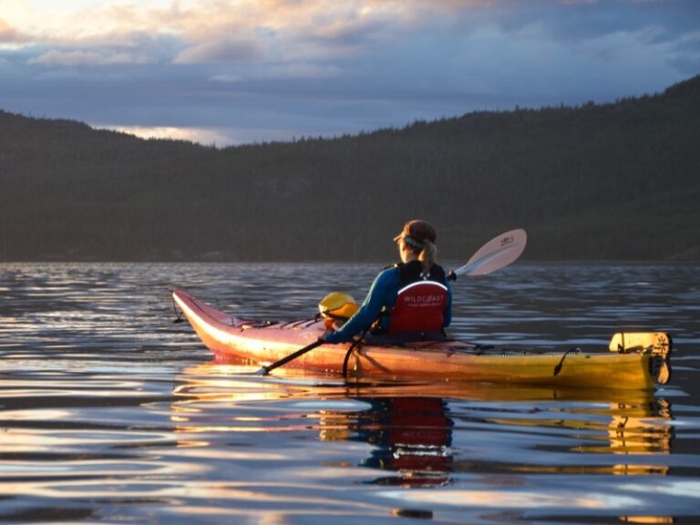 Whales & Bears Kayaking Adventure: Wildcoast 7-Day BC Vacation